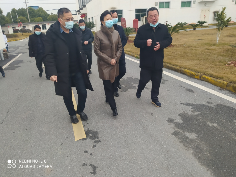 中共永丰县委书记邹卫梅莅临尊龙凯时集团视察复工复产事情